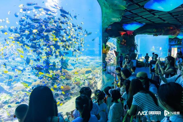 长隆飞船乐园开展第六个“全国珊瑚日”主题活动