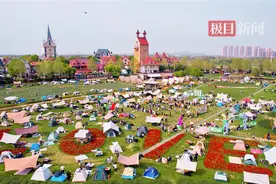 知音故里，花海浪漫！蔡甸邀您共赴春日之约图片