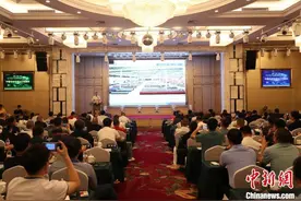 业界人士齐聚广西贵港 探讨电动车产业链“下南洋”图片