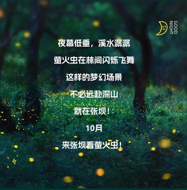 泸州又一新消费场景即将呈现！10月来这里看萤火虫