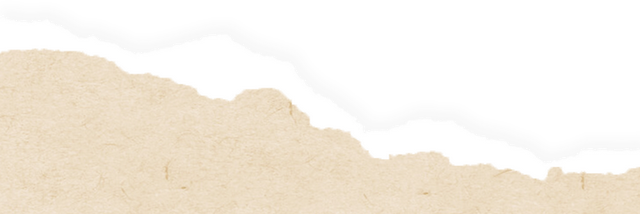 旅选上海·超级元旦 | 长宁区打卡活动，精彩好礼等你来！