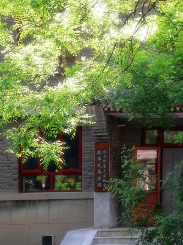 盛夏荷花，别有一番景致在北大