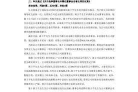 69岁锂业“赌王”退休，公司刚爆出38.97亿元巨亏，天齐锂业成也收购、败也收购？“85后”美女接班烂摊子图片