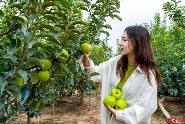 937场“冬游西海岸”文旅活动热闹登场