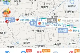 宠物有望上高铁？12306问卷调查→图片