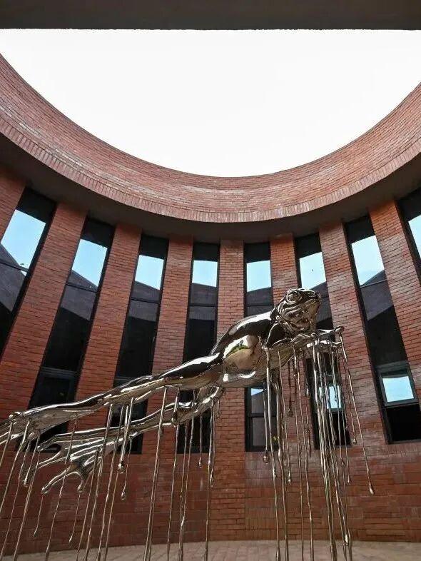 初冬高饱和度美景，还得看洛阳！