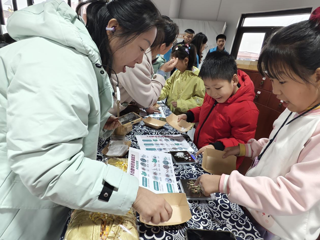 “这一站，济南！文物研学游”在稻乡湾解码文化密码