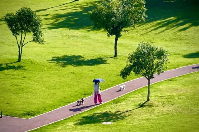 收藏这套双流秋天专属色卡，跟着拍，出片率100%