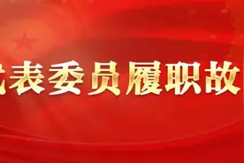 全国政协委员阿衣木沙·托合塔洪：让“快递进村”快起来图片