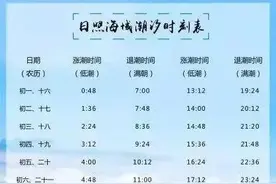 抓住暑假“小尾巴”，日照这份赶海攻略请您查收图片