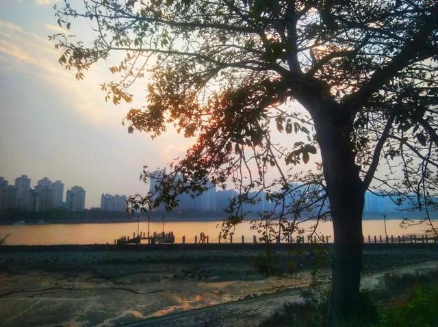 你闻到了吗？福州这些地方好香！