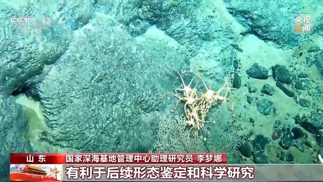 载人+无人 我国双潜器在北极深海实现多个首次