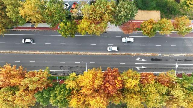 日照街道的这些地方！美极了！