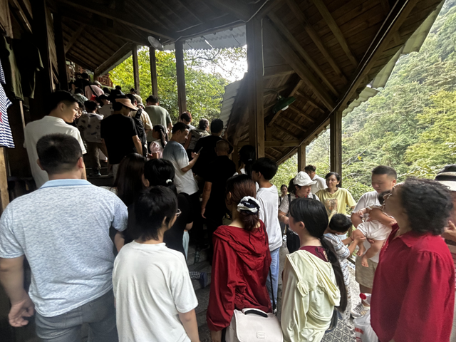 “人从众”“車䡛轟”“火炎焱”！井冈山景区人气旺，活动多，服务好！