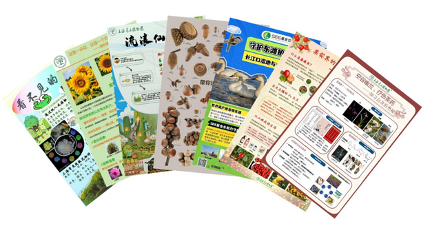 植物+科技会碰撞出怎样的火花？辰山科普节周六开幕，看科技如何赋能绿色生活