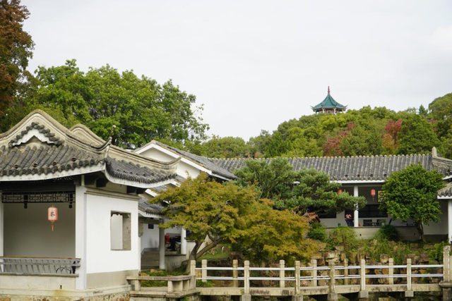 从站台到风景→无锡冬日最美交通线