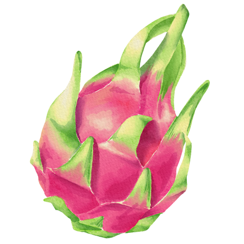 「果」然精彩！本周继续嗨玩，错过再等一年