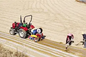 春耕备耕正当时 榆中县：万台“铁牛”奋蹄忙 机械化赋能新质生产力图片