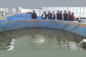 精准控制、定点投喂 在岸上养鱼，一部手机能管500亩鱼塘图片