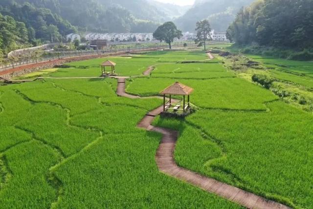 国际认证！2025年福建宁德屏南“茶盐古道·福籽同心”30公里越野赛通过ITRA国际认证！