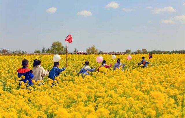 湖南文旅点名！渌口这7处 “宝藏目的地” ，赶紧去！