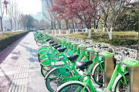 “小绿”在临沂有多受欢迎？运营至今累计租用量达1.71亿人次图片