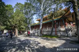 紫禁城御花园的主要建筑图片