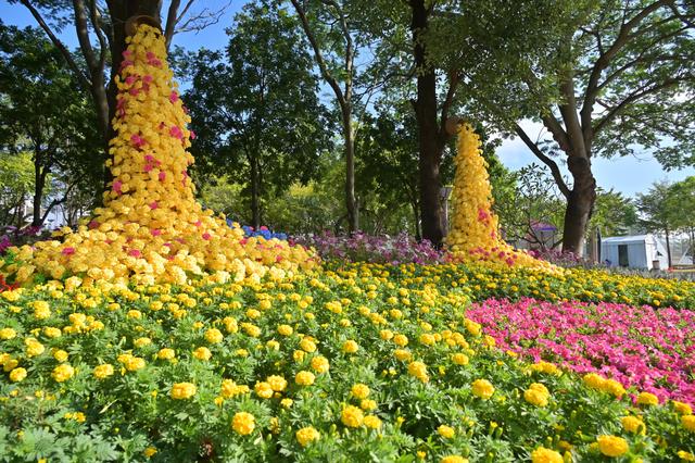 广州南沙披上“繁花盛装”，扮靓绿美全运画卷