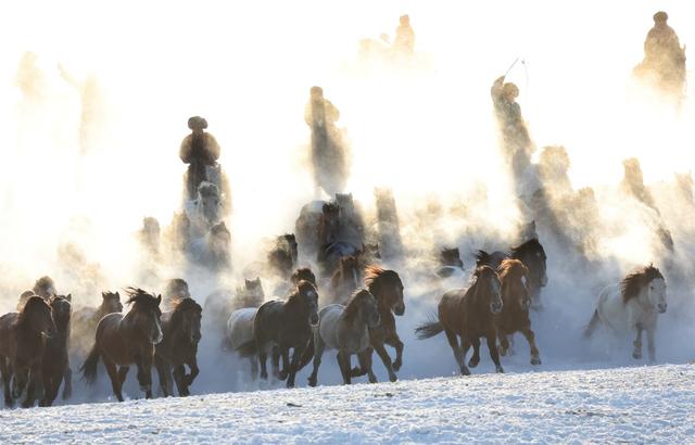 2026年乌兰布统马文化节开幕