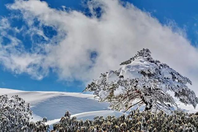 逢周末开行直通车 昆明老街、世博园可往返轿子山