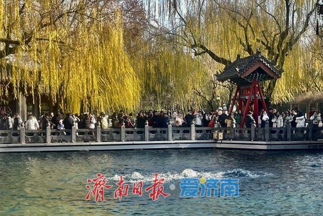 趵突泉水位同比上涨1.29米 冬日泉水欢腾引客来
