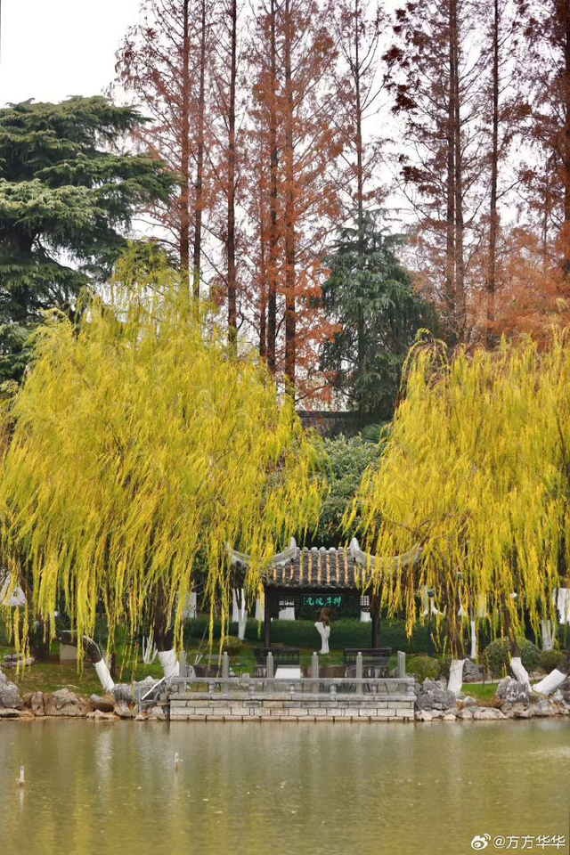 这个元旦假期，把时光“浪费”在秦淮最美的园子里~
