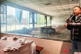 【万千蝶变乡村行】边品美食边“看猪”？绵阳有这样一家生态农场创意餐厅图片