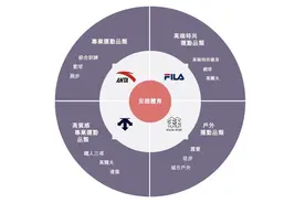 安踏AB面：去年大赚百亿，两大主力品牌降速，瞄准出海增量图片