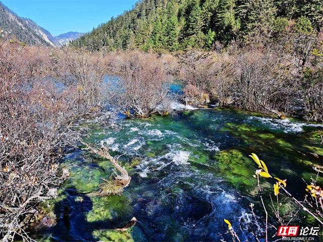 九寨沟的冬日浪漫：雪吻海子，阳光作画，太治愈了