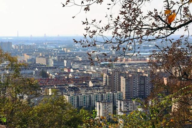 在雨山邂逅暗香苑，寻见一方藏在城市角落的桃花源