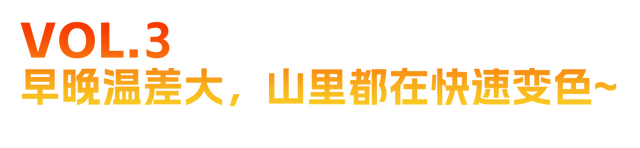 秋日美学暴击！正是赤橙黄绿时~