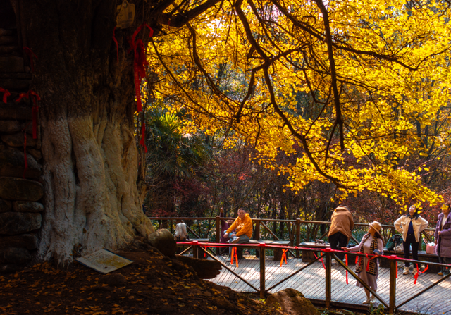 彭州，倒也不必美得如此满分！