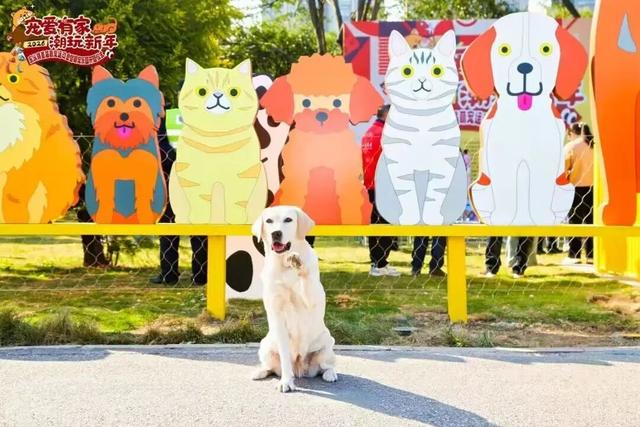 顺德北部创新湾已备好“年味大餐”，游玩攻略→