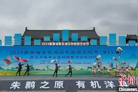 朱鹮与油菜花同框“迎春” 陕西汉中以花为媒促发展图片