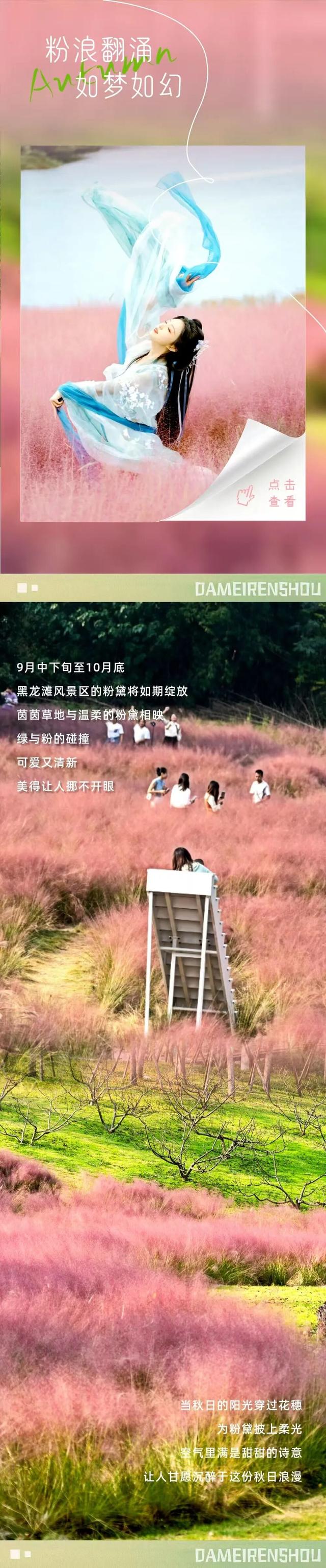 秋日预告，仁寿的绝色在这里集齐了