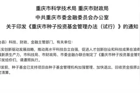 重庆发布种子投资基金管理办法 优秀项目最高可获200万元投资图片