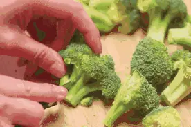 为什么减脂人群偏爱西兰花图片