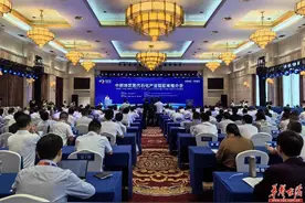 湘遇中博会丨签下204.4亿元“大订单” 中部地区现代石化产业链招商推介会举行图片