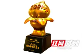 湖南辣条出圈！麻辣王子获首届淘宝“电商界米其林”奖图片
