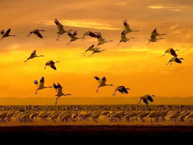 当朱迪尼克来到江西～原来这里也是疯狂动物城！