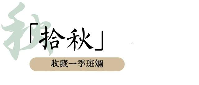 秋日“上”策！“顶级”仪式感做这些就够