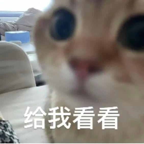 《许我耀眼》同款！坪山藏着你的“温暖的港湾”