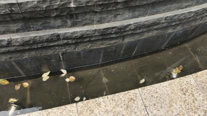 旅业场所如何防蚊灭蚊？指南来了→