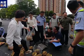 交警摆摊卖榴莲？背后原因好暖心图片